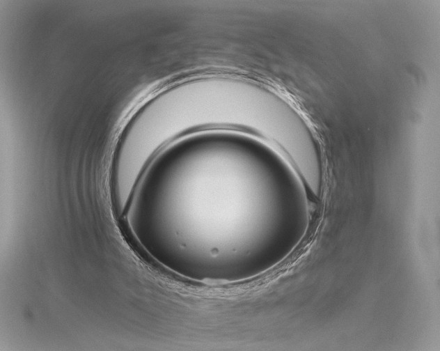 X0000115520007200911201708