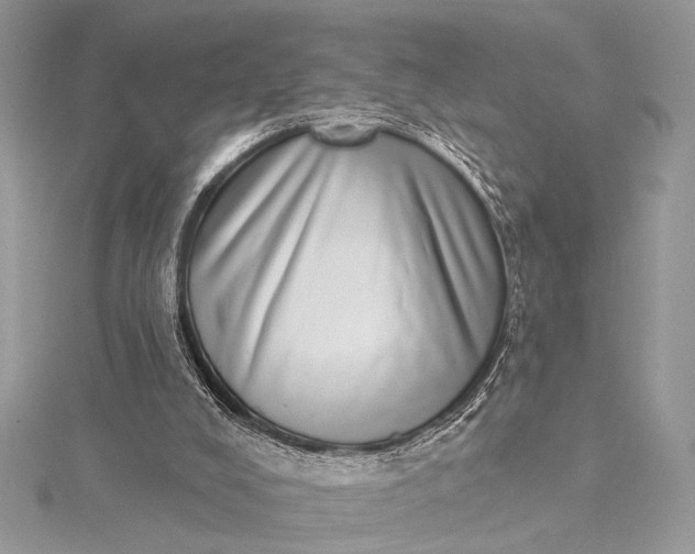 X0000115520008200911201708