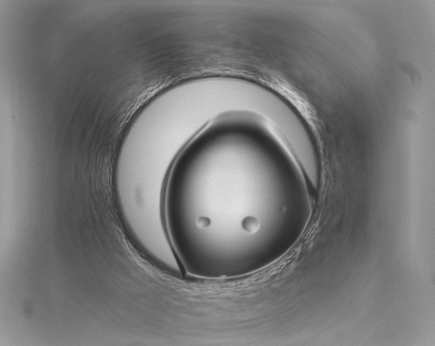 X0000115520009200911201708