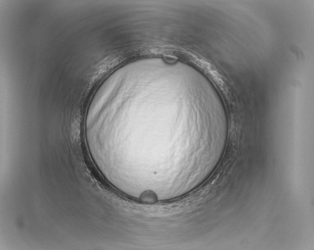 X0000115520010200911201708