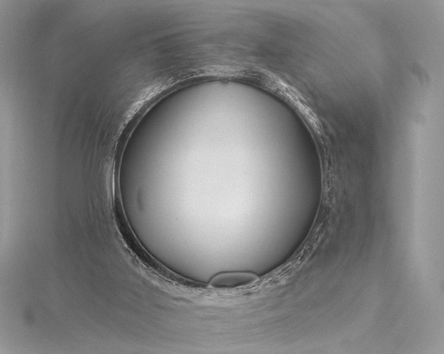 X0000115520011200911201708