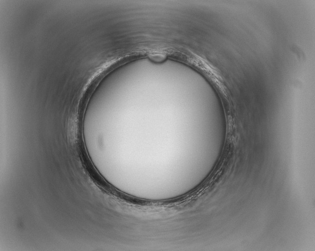 X0000115520012200911201708