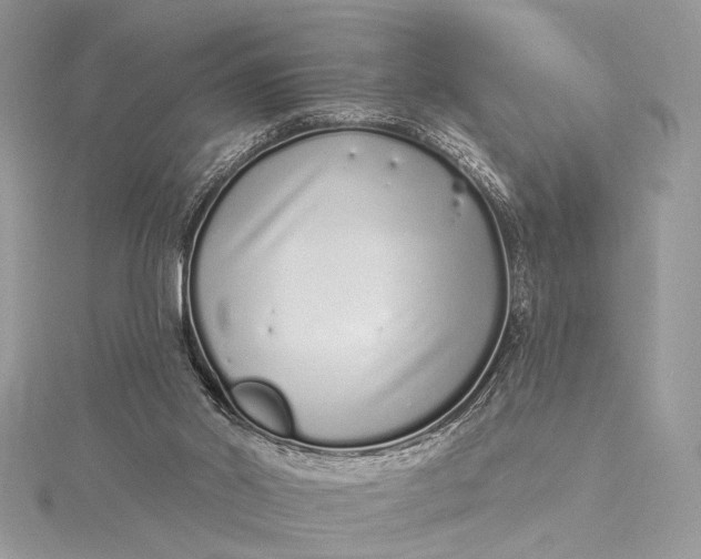 X0000115520014200911201708