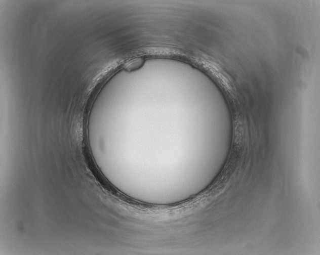 X0000115520015200911201708