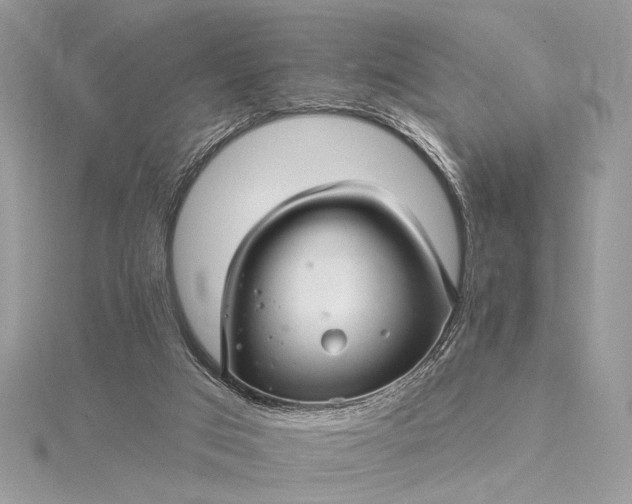 X0000115520017200911201708