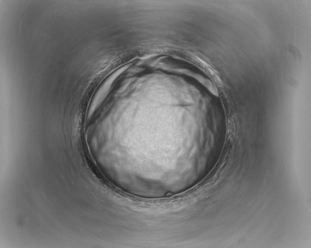 X0000115520018200911201708