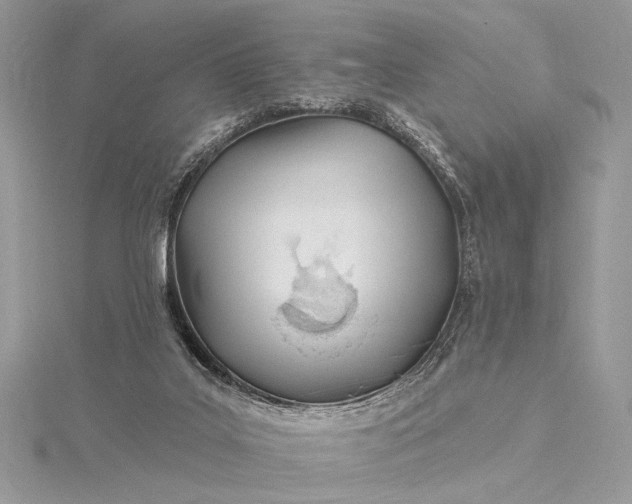 X0000115520019200911201708