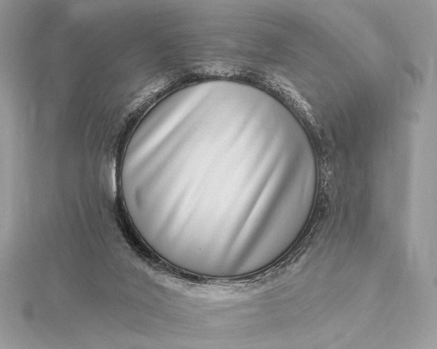 X0000115520020200911201708