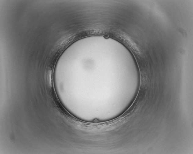 X0000115520022200911201708