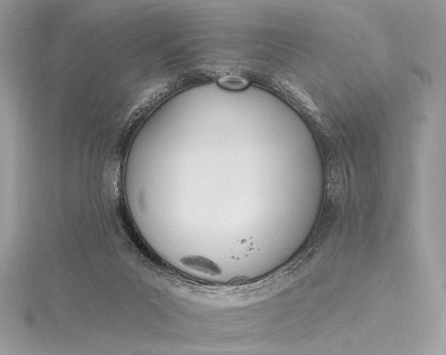 X0000115520023200911201708