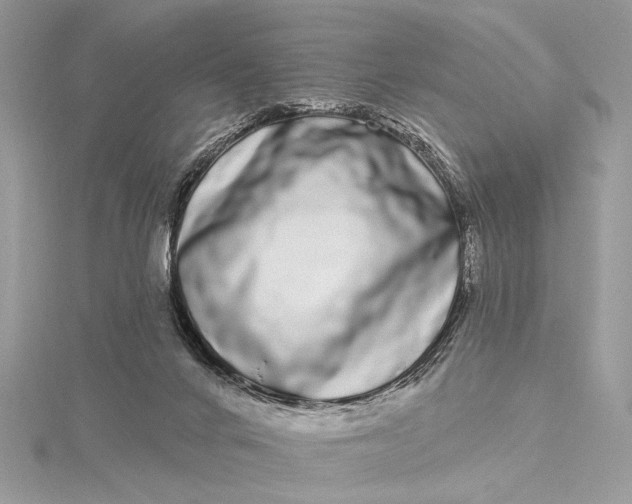 X0000115520024200911201708