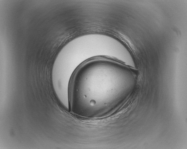 X0000115520025200911201708