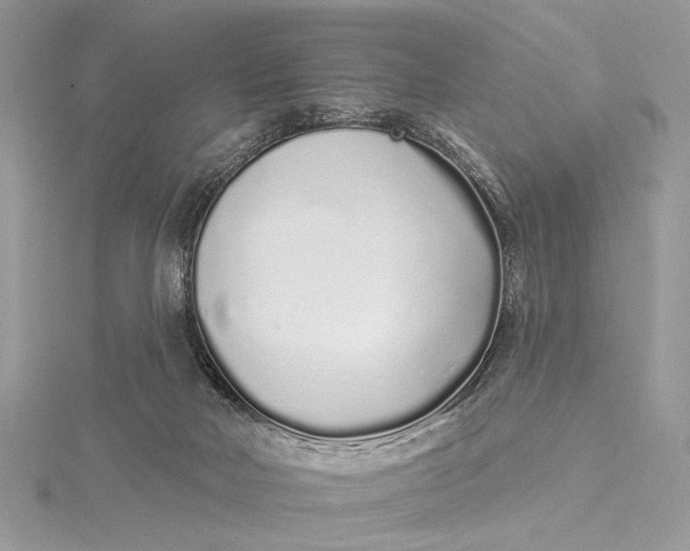 X0000115520026200911201708