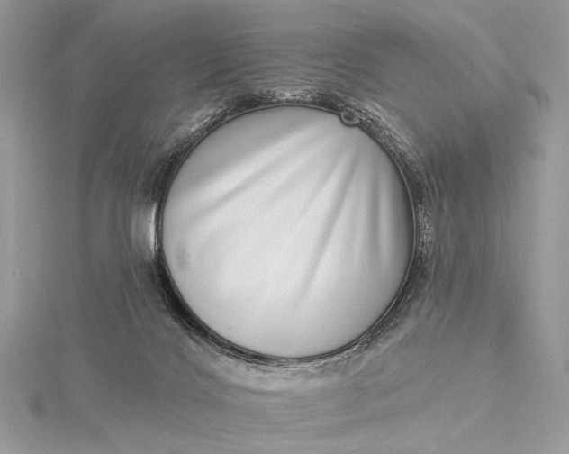 X0000115520028200911201708