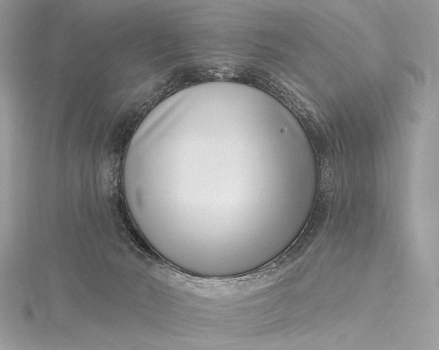 X0000115520030200911201708