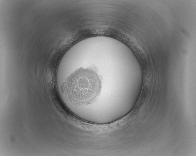 X0000115520031200911201708