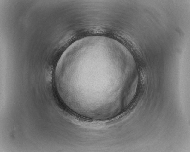 X0000115520032200911201708