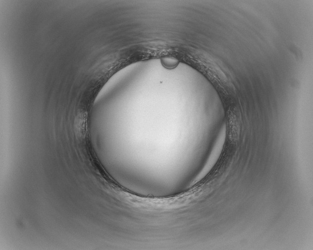 X0000115520034200911201708