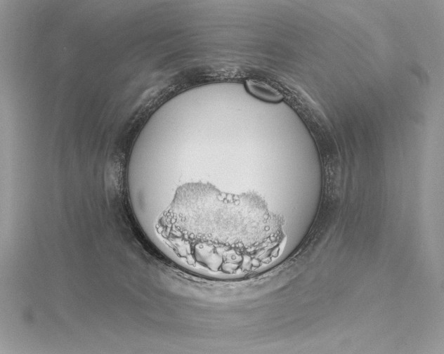 X0000115520035200911201708