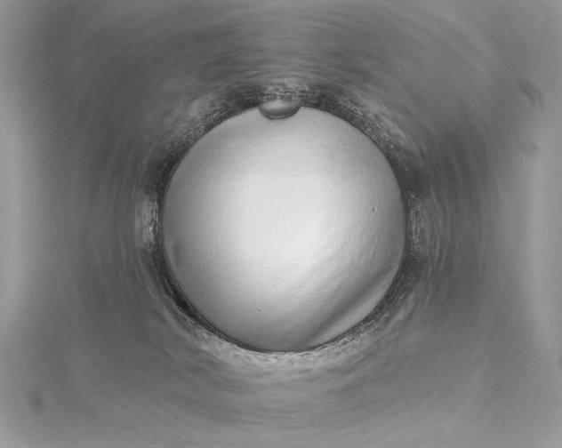 X0000115520038200911201708