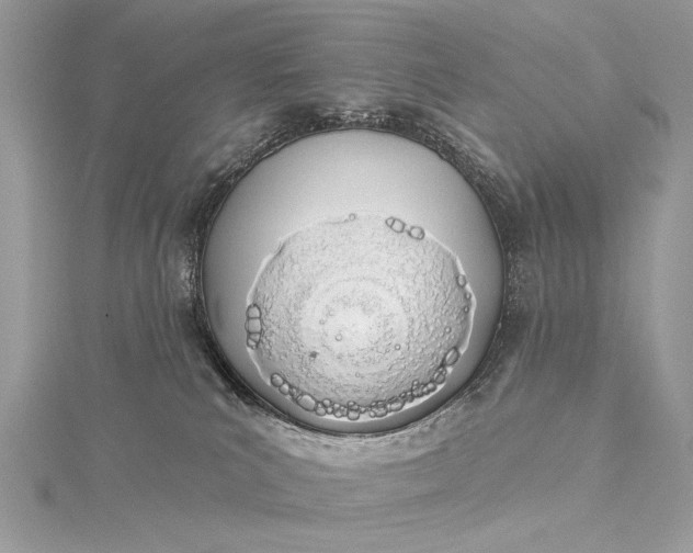 X0000115520039200911201708