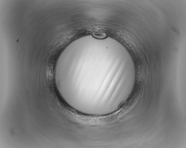 X0000115520040200911201708