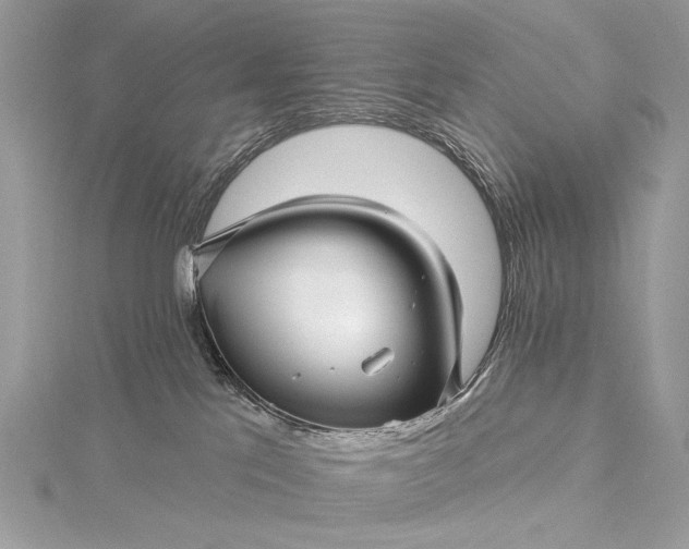 X0000115520041200911201708