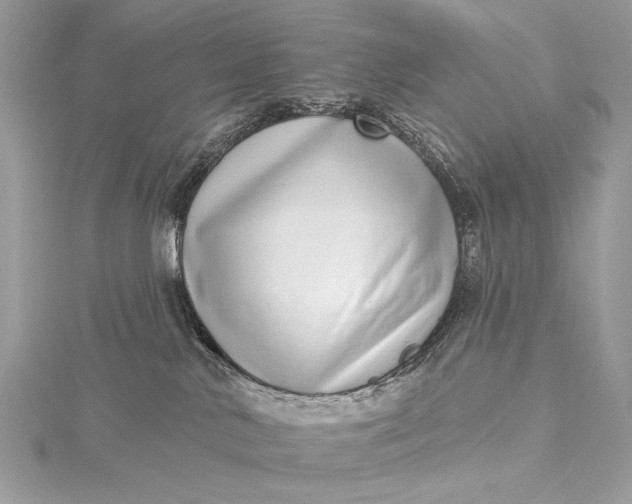 X0000115520042200911201708