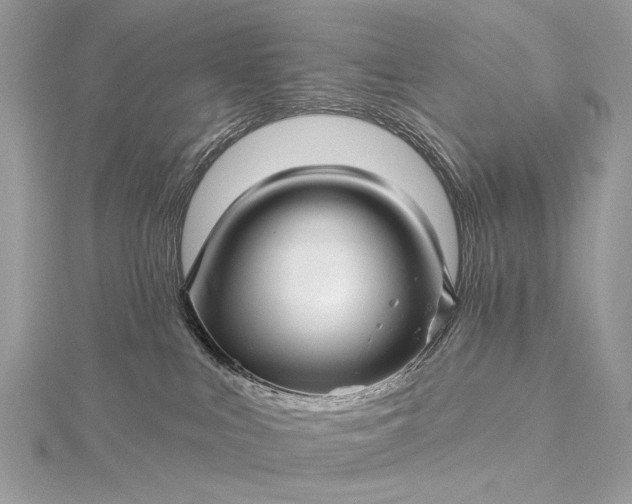 X0000115520043200911201708