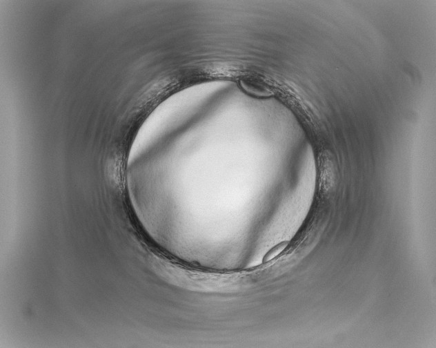 X0000115520044200911201708