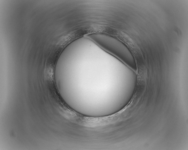 X0000115520045200911201708