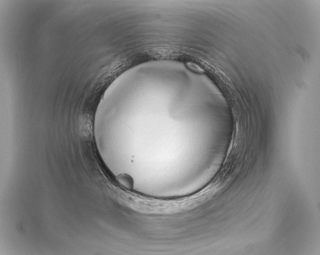 X0000115520048200911201708