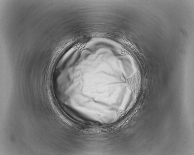 X0000115520049200911201707