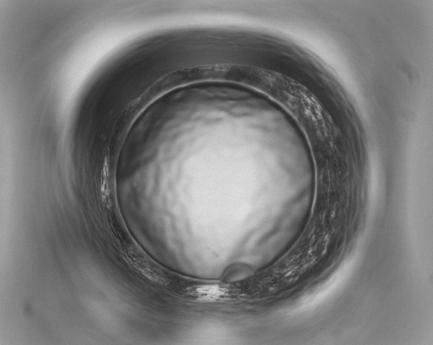 X0000115520050200911201707