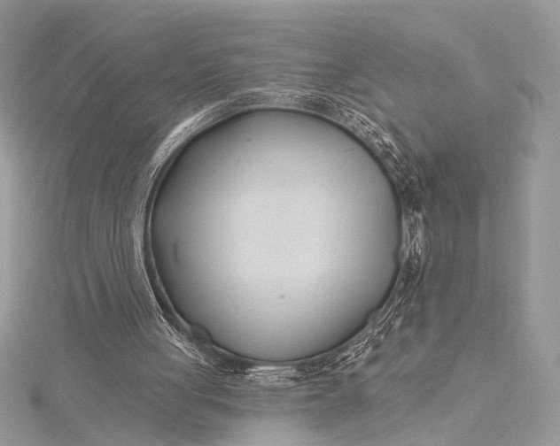 X0000115520051200911201707