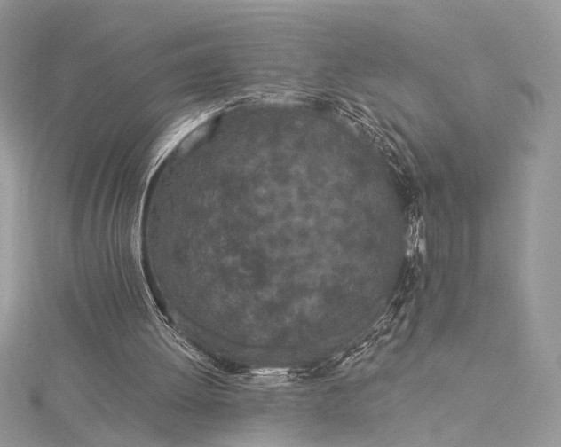 X0000115520052200911201707