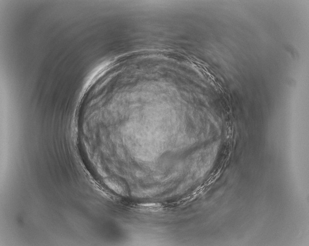 X0000115520053200911201707