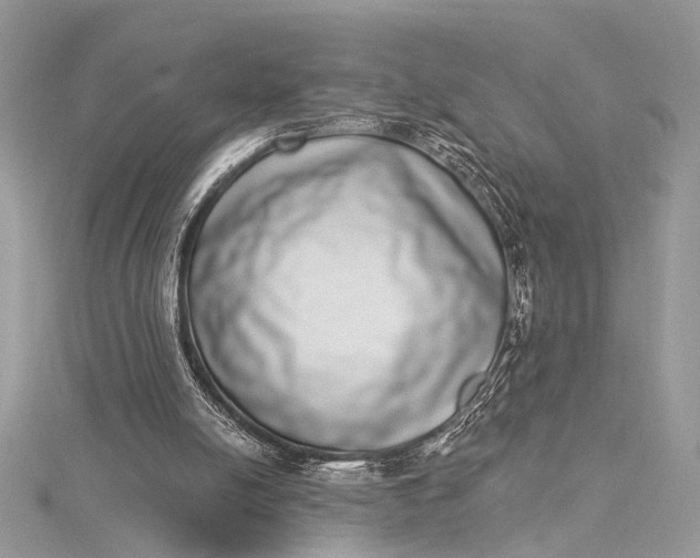 X0000115520054200911201707