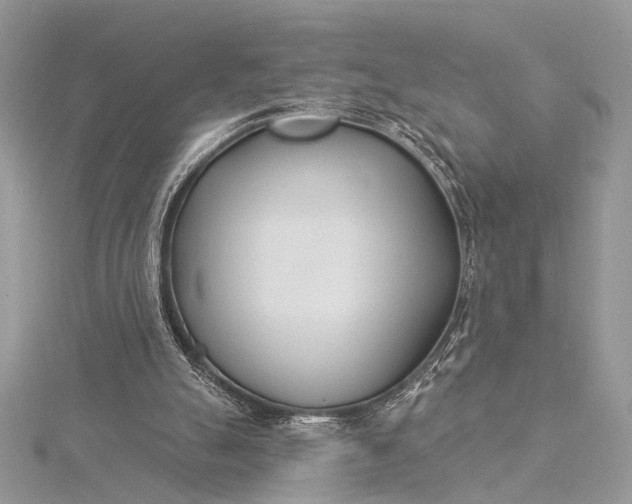 X0000115520055200911201707