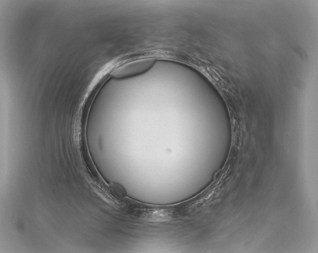 X0000115520056200911201707