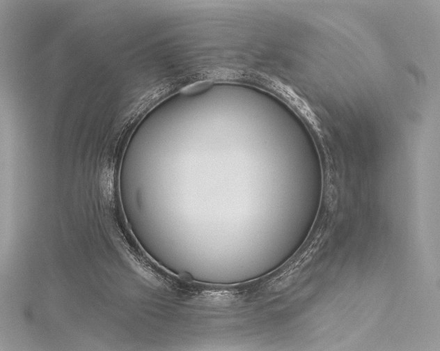 X0000115520057200911201707