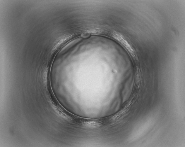 X0000115520058200911201707