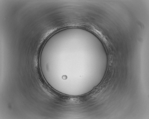 X0000115520060200911201707