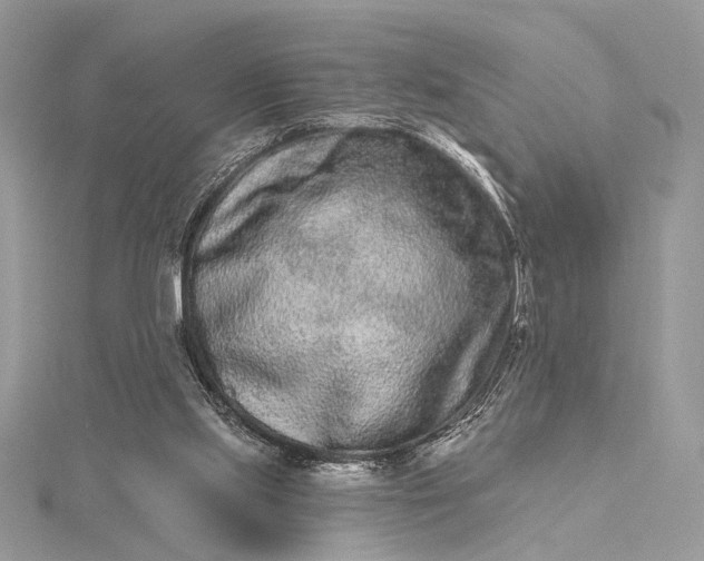 X0000115520061200911201707