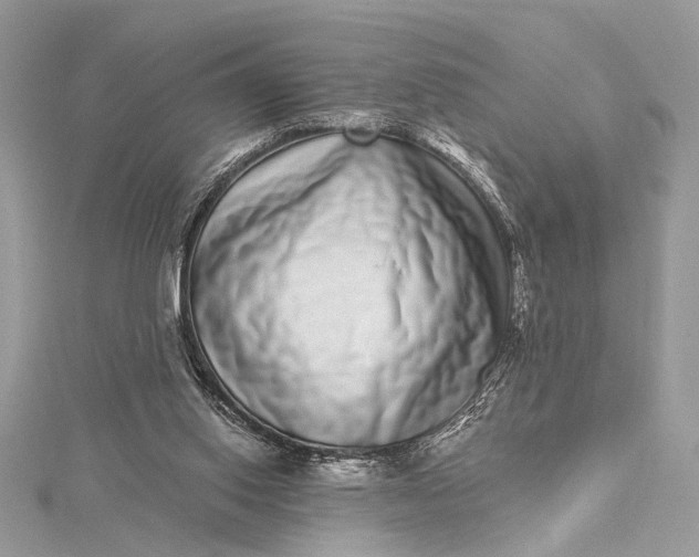 X0000115520062200911201707