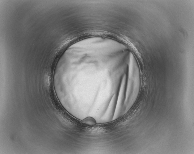 X0000115520063200911201707