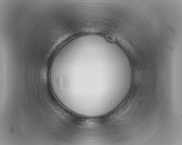 X0000115520064200911201707