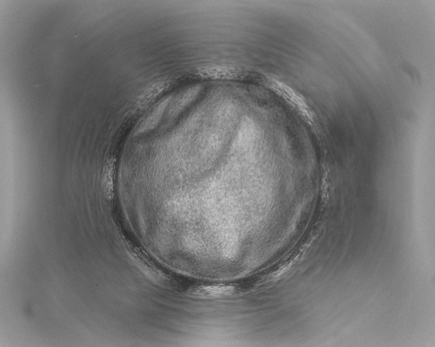 X0000115520065200911201707