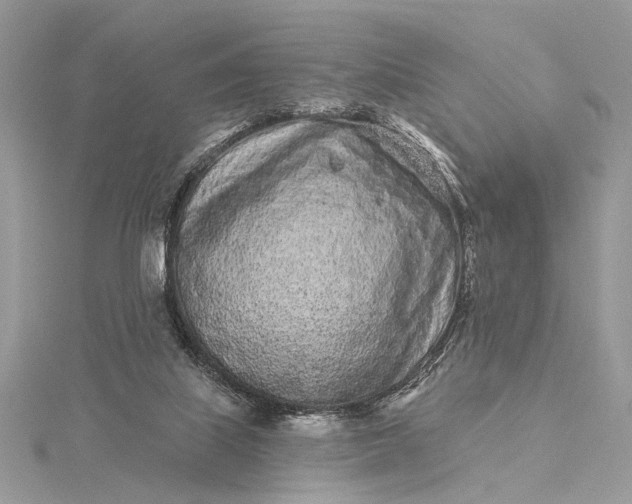 X0000115520067200911201707