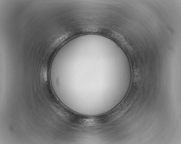 X0000115520068200911201707